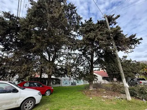 Terreno en Venta 12  mts Frente