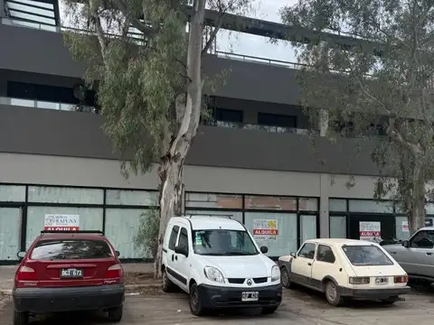 Local en alquiler comercial en Ayres del sur