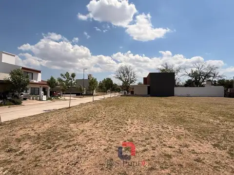 Manzana 28