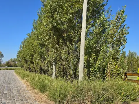 Ruta Provincial 47