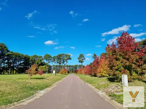 Terreno en venta - 1.878mts2 - Los Pinares Country Club, Exaltación de la Cruz