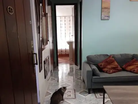 La Rioja 1000, Piso 1