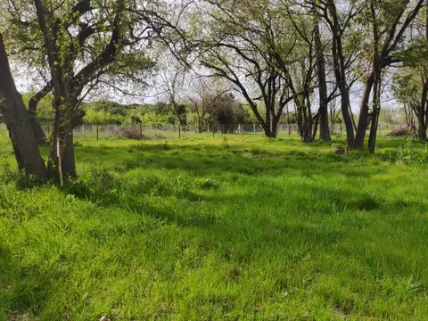 Terreno en Venta de 2170,0 m2