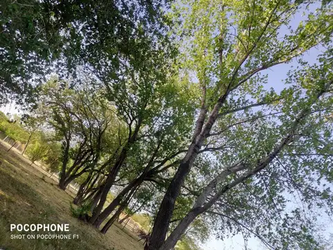 Terreno en Venta de 2170,0 m2