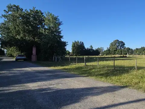 Terreno en Venta 31  mts Fondo