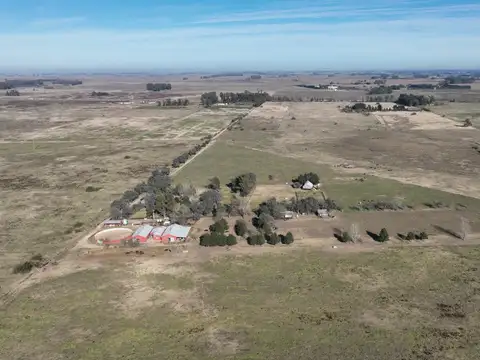 84 Has. Haras en Mercedes