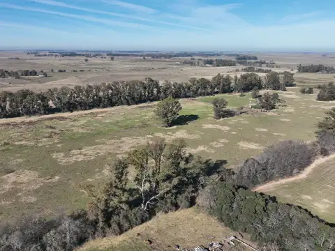 Campo en Venta Haras
