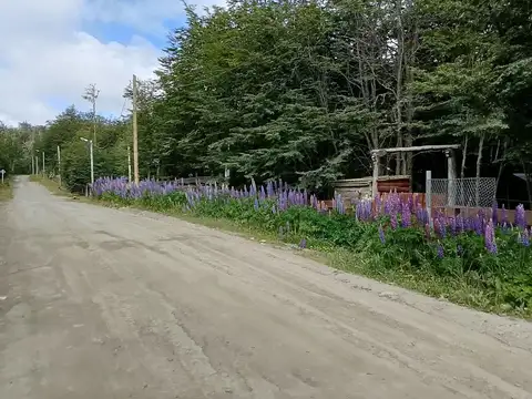 HERMOSA CABAÑA DE CON 3243 M2 DE BOSQUE NATIVO