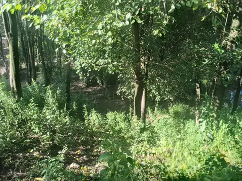 Terreno en Venta de 962,0 m2