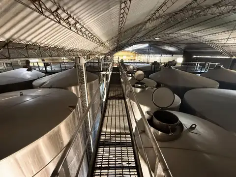 BODEGA TRASLADISTA OPERATIVA EN VENTA SAN MARTÍN