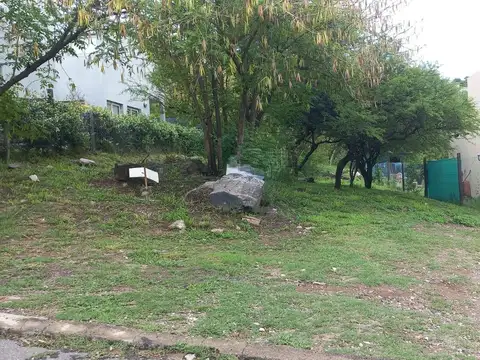 Jorge Luis Borges 1200