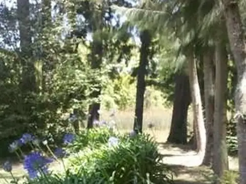 Rio / Arroyo Caraguatá 925 100