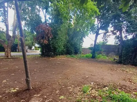 Terreno en Venta de 522,0 m2