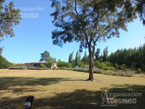 Camino Benito Nardone