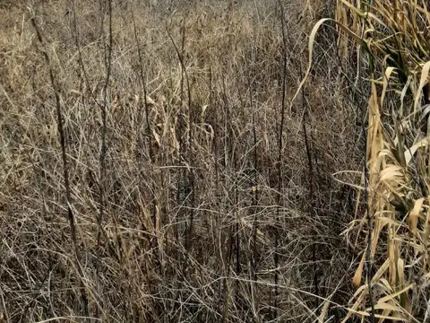 Terreno en Venta de 658,0 m2