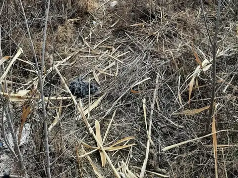 Terreno en Venta de 658,0 m2