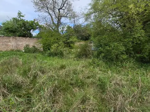 Pasaje los Chañares 100