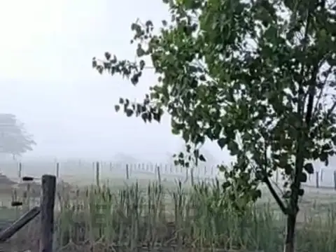 Campo de 8,5 Ha. con casa, galpon y cancha de polo