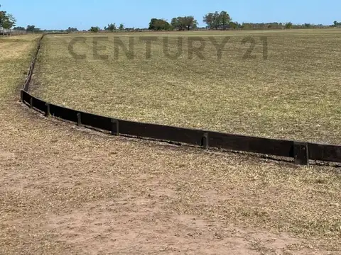 Campo de 8,5 Ha. con casa, galpon y cancha de polo