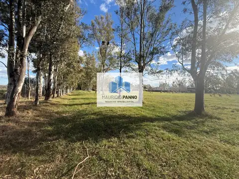 Terreno en Venta de 1000,0 m2