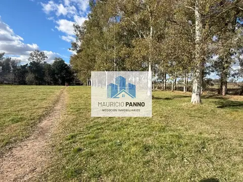 Camino de la yegua muerta, San antonio de 100