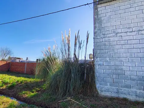 Galpon en Alquiler 8  mts Frente