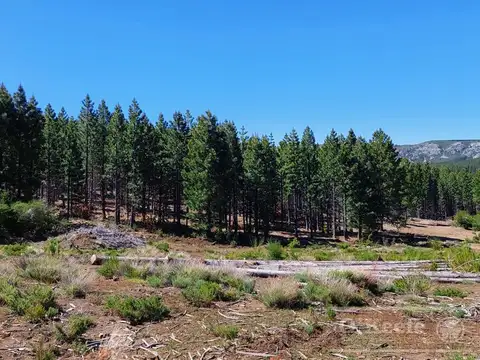 Campo 312 has - Arroyo del Medio, Bariloche, Rio Negro