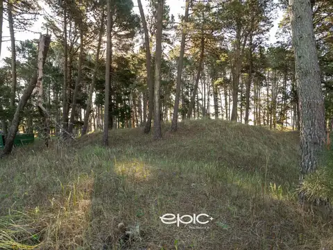 Terreno en Venta en Pinamar, USD 105.000