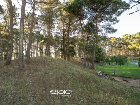 Terreno en Venta de 798,0 m2