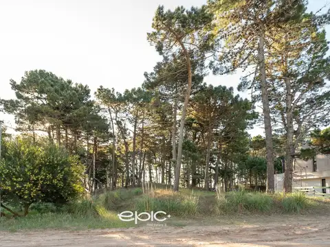 Terreno en Venta de 798,0 m2