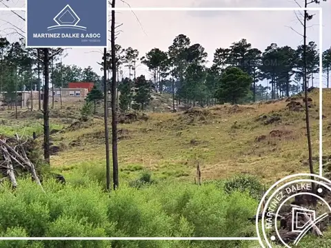 Terreno en Venta 425  mts Fondo