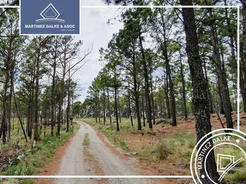 Terreno en Venta de 100926,0 m2