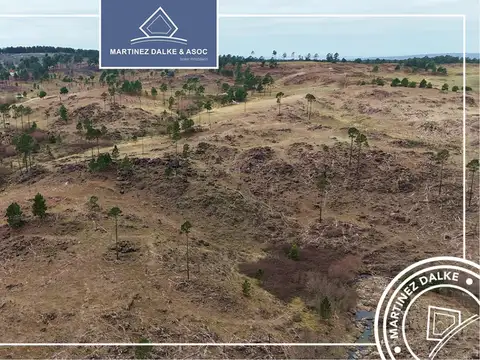 Terreno en Venta en Villa Berna, USD 110.000
