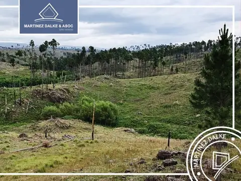 ATHOS PAMPA - Exclusivo loteo con vistas y playa de rio priv