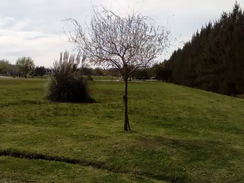 Terreno en Venta en Haras Del Sur 2, USD 18.100