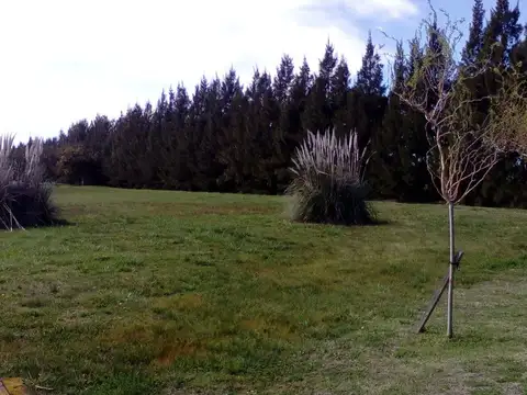 Ruta Provincial 2 100