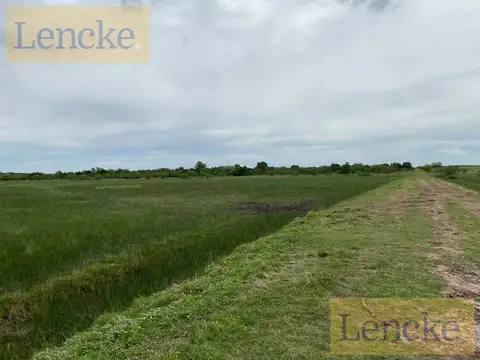 Campo en Zagarzazu