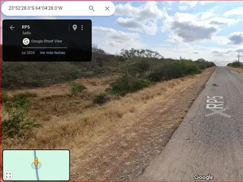 Campo en Desarrollo - 1486 ha - Oran - salta