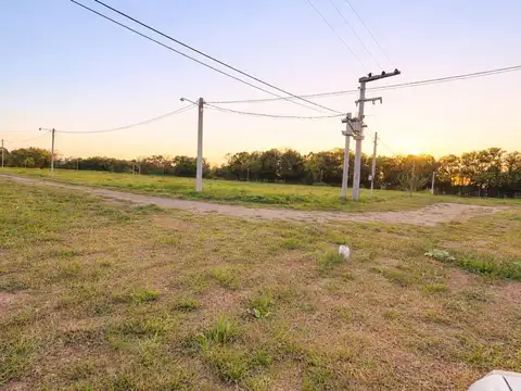 Terreno en Venta de 935,0 m2