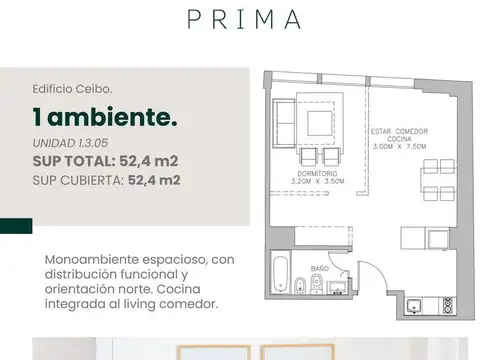 Departamento - Caballito