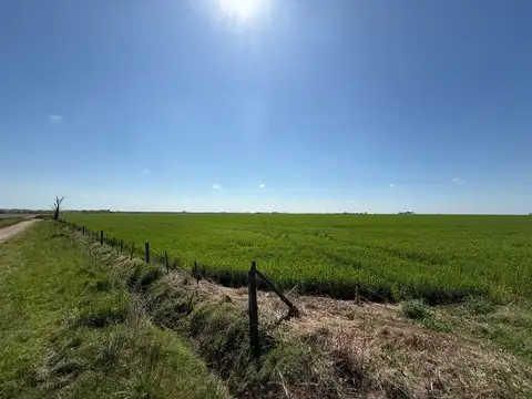Campo 23HA EN LUIS PALACIOS