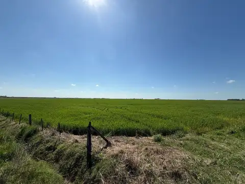 CAMPO 23HA EN LUIS PALACIOS