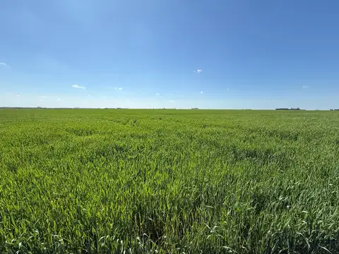 Campo 23HA EN LUIS PALACIOS