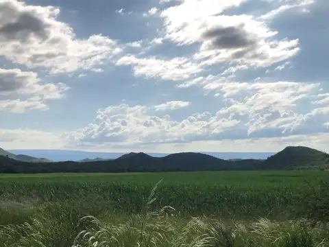 CAMPO 669 HECTAREAS CAÑADA DE SALAS POCH ESCRITURA