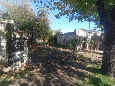 Zorzal 3000, Piso 0