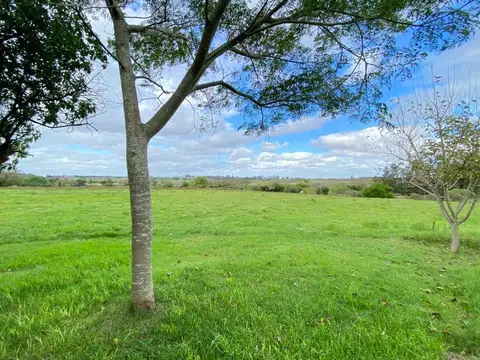 Camino de las Tropas 100