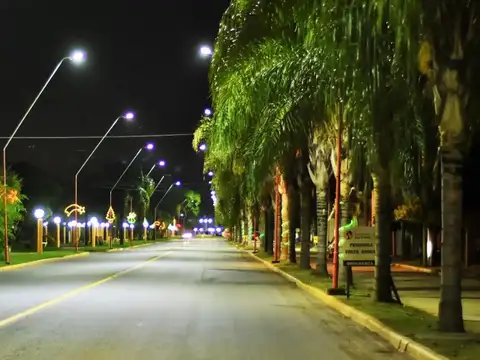 Campo en Venta de 1,57  ha