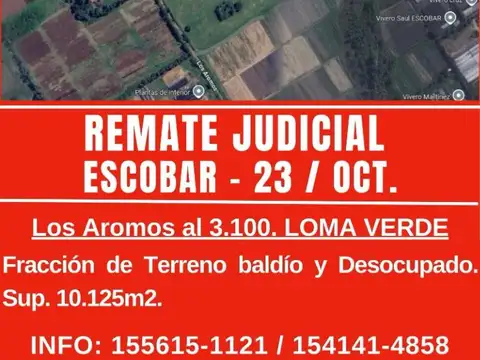 REMATE JUDICIAL - FRACCION 1 HECTAREA EN LOMA VERDE