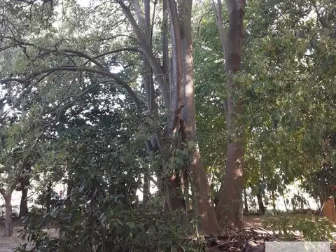 Terreno en Venta de 2242,0 m2