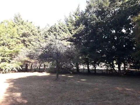 Terreno en Venta 56  mts Fondo